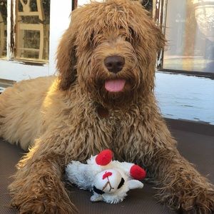 Meet your Posher, Gio